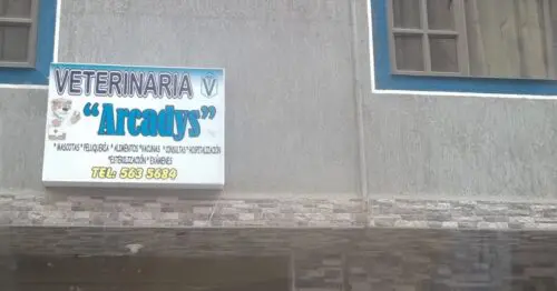 VETERINARIA ARCADYS VETERINARIA ARCADYS